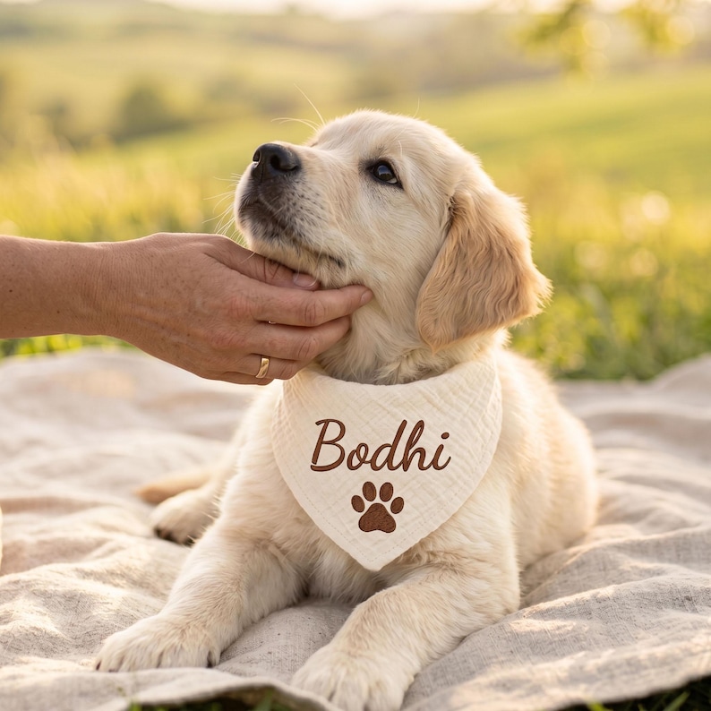 May include: A cream-colored triangular pet bandana made of textured fabric, featuring the name Bodhi printed in dark brown script above a dark brown paw print icon. The bandana is worn around the neck of a light-colored golden retriever puppy.