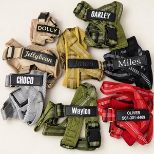 Personalisiertes, besticktes Hundegeschirr mit Namen, individuelles Geschenk für Haustiere, verstellbares Führgeschirr, Geschenk für Hundebesitzerinnen, Hundegeschirr- und Leinen-Set