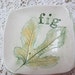 see more listings in the Dishes and Plates section