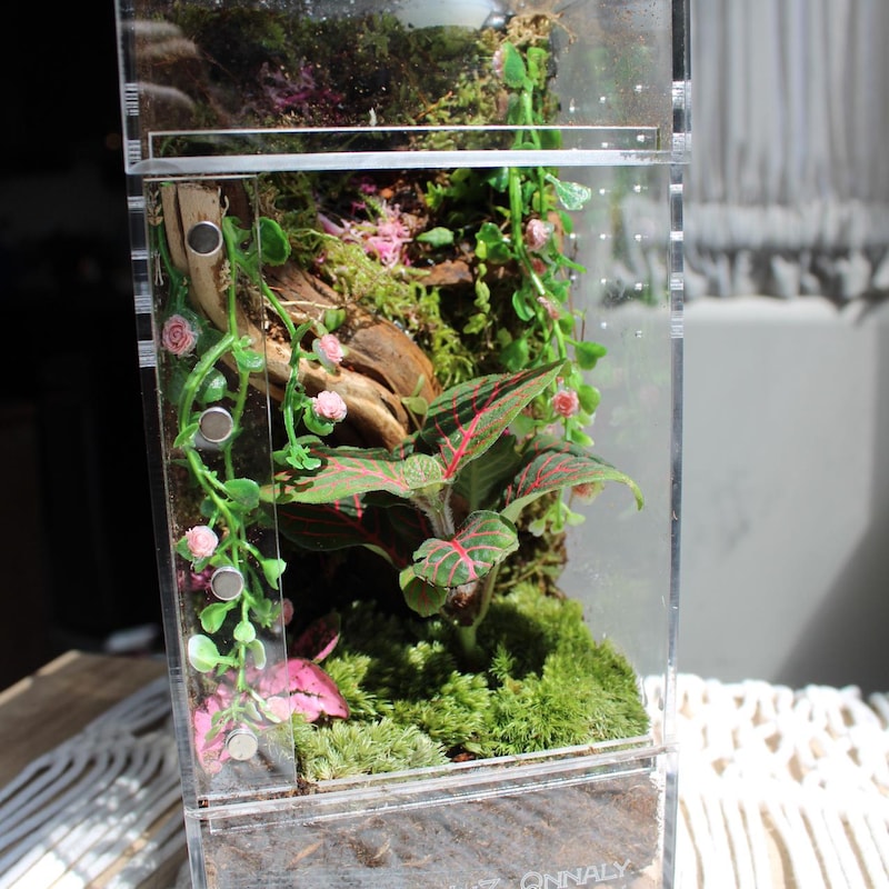Acrylic Bug Enclosure - Etsy
