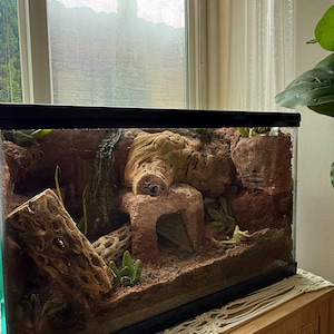 Puede incluir: Un terrario de vidrio con marco negro, lleno de arena, rocas y plantas. Una gran formaci&oacute;n rocosa texturizada sirve como punto focal. Tambi&eacute;n se ven un trozo de madera flotante y peque&ntilde;os cactus. El terrario est&aacute; sobre un mueble de madera.