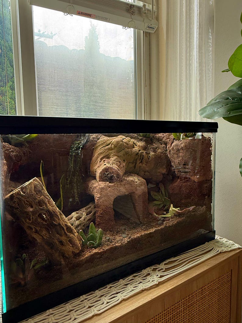 Puede incluir: Un terrario de vidrio con marco negro, lleno de arena, rocas y plantas. Una gran formaci&oacute;n rocosa texturizada sirve como punto focal. Tambi&eacute;n se ven un trozo de madera flotante y peque&ntilde;os cactus. El terrario est&aacute; sobre un mueble de madera.