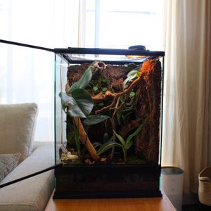 Puede incluir: Un terrario de vidrio con marco negro, lleno de plantas, ramas y un fondo texturizado. El terrario est&aacute; abierto, revelando el interior. La configuraci&oacute;n incluye hojas verdes grandes y una peque&ntilde;a l&aacute;mpara.