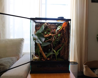 Custom Bioactive Reptile Enclosure