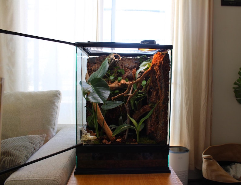 Puede incluir: Un terrario de vidrio con marco negro, lleno de plantas, ramas y un fondo texturizado. El terrario est&aacute; abierto, revelando el interior. La configuraci&oacute;n incluye hojas verdes grandes y una peque&ntilde;a l&aacute;mpara.