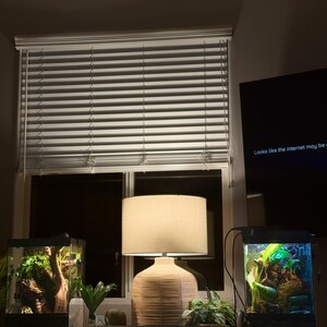 Puede incluir: Escena de sal&oacute;n con una l&aacute;mpara beige con base texturizada, dos terrarios con plantas y una ventana con persianas. Un televisor muestra el texto "Looks like the internet may be out."