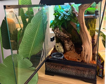 Bioactive Reptile Enclosure Habitat 12x12x18
