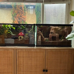 Puede incluir: Dos terrarios de vidrio con exuberante vegetaci&oacute;n, rocas y elementos decorativos se encuentran sobre un mueble de madera clara. Un terrario presenta una seta roja, el otro una estructura similar a una cueva. El mueble tiene un dise&ntilde;o de rat&aacute;n tejido.