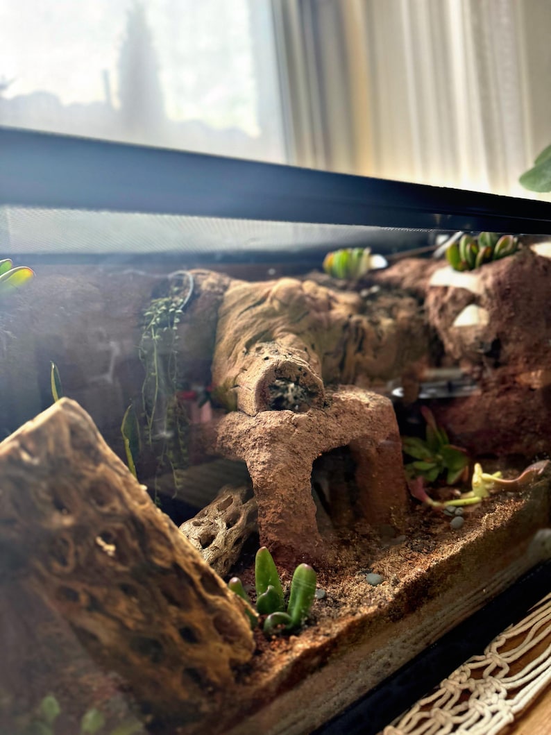 Puede incluir: Un terrario con un paisaje des&eacute;rtico naturalista. El recinto presenta un fondo marr&oacute;n texturizado con una peque&ntilde;a cueva y varias plantas, incluidas suculentas. El sustrato es un material arenoso, y el dise&ntilde;o general est&aacute; destinado a imitar un entorno des&eacute;rtico.