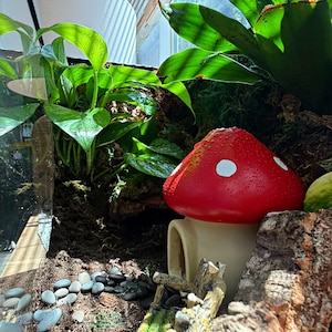 Puede incluir: Un terrario en miniatura con una casa de hongo rojo con puntos blancos, rodeada de plantas verdes, musgo y peque&ntilde;as piedras. El recinto de vidrio crea un peque&ntilde;o ecosistema aut&oacute;nomo.