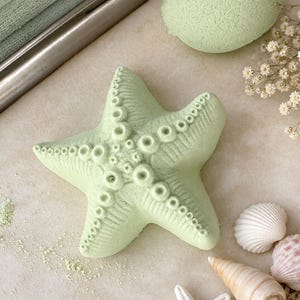 May include: A pale green, star-shaped bath bomb with a textured surface featuring raised circular patterns along its five arms. The bath bomb has a matte finish and is positioned alongside small white seashells and dried baby's breath flowers.