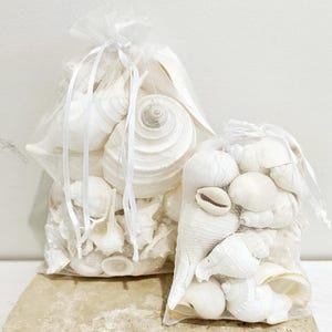 May include: Two bags of white seashells, including conch and cowrie shells, in clear mesh bags tied with white ribbon. The bags are filled with a variety of shapes and sizes of shells. The bags are on a light brown surface.