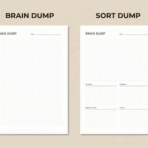 May include: Two white paper sheets with the text "BRAIN DUMP" and "SORT DUMP" at the top. The left sheet is a dotted grid with the words "BRAIN DUMP" and "DATE" at the top. The right sheet has the same text at the top, with sections for "DO TODAY", "SCHEDULE", "SAVE FOR LATER", and "LET GO".