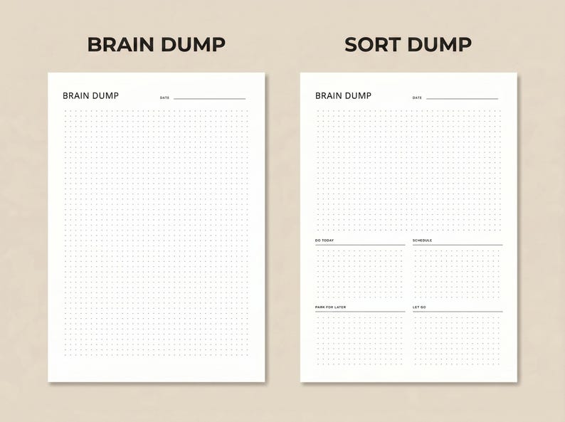 May include: Two white paper sheets with the text "BRAIN DUMP" and "SORT DUMP" at the top. The left sheet is a dotted grid with the words "BRAIN DUMP" and "DATE" at the top. The right sheet has the same text at the top, with sections for "DO TODAY", "SCHEDULE", "SAVE FOR LATER", and "LET GO".