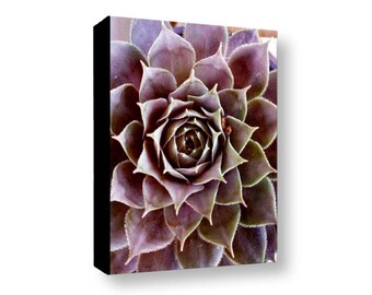 Purple Succulent Gallery Wrapped Canvas, Purple Sedum Photo Canvas, Sedum Photography Canvas, Botanical Sedum Canvas, Nature Photo Sedum Art
