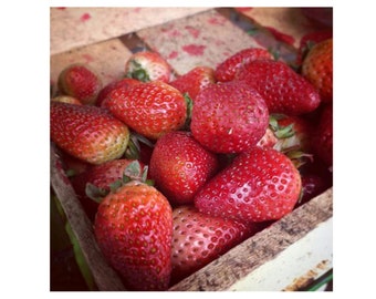 Strawberries Photo, Kitchen Fruit Photo, Strawberries Photo Art, Farm House Kitchen Art, Fruit Decor, Foodie art Photo, Fruit Prints