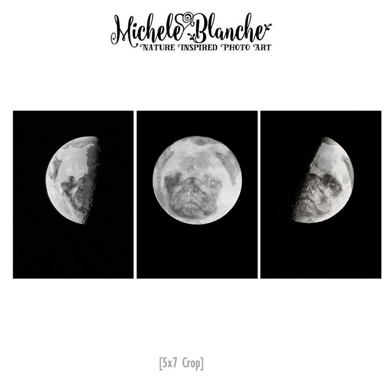 Last Quarter Pug Moon Set of three Pug Phases of the Moon Prints Pug Moon Phases Print Set of three Pug Lover/'s First Quarter Pug Moon
