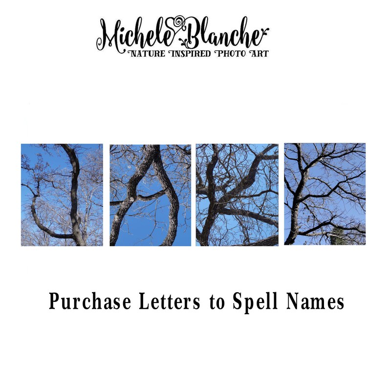 branche d'arbre 5 lettres