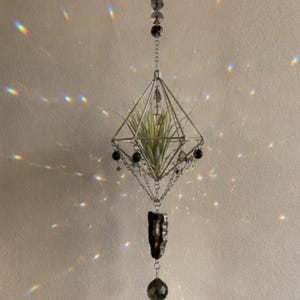 Könnte beinhalten: Geometrischer Metall-Luftpflanzenhalter mit Kette und dekorativen schwarzen Perlen. Der Halter enthält eine grüne Luftpflanze. Ein dunkelbrauner Kristall und ein Rauchquarz-Kristall hängen von unten. Das Bild hat Regenbogenlichtreflexionen.
