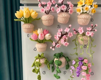 Crochet Plant Fridge Magnet, Hanging Crochet Plant, Mini Plant Decor, Boho Kitchen Magnet, Cute Crochet Flower Pot, Handmade Plant