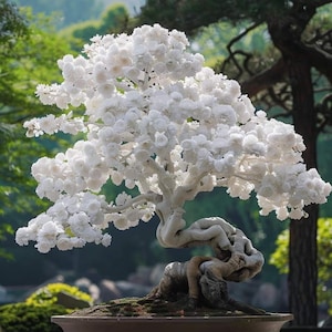 Puede incluir: Un bonsái con tronco y ramas blancas, cubierto de flores blancas. El árbol está plantado en una maceta de cerámica marrón. El fondo presenta follaje verde y una vista borrosa de un jardín.