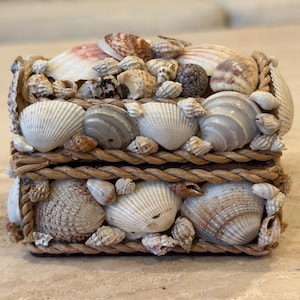 May include: A rectangular box decorated with a variety of natural seashells in shades of white, tan, and brown. The lid and base are bordered by thick, twisted tan rope trim, and the surface is densely covered with assorted small and large shells.