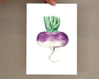 Turnip glicee print, glicee, vegetable art, turnip art, print wall art, kitchen home decor, kitchen wall art, turnip illustration print, art