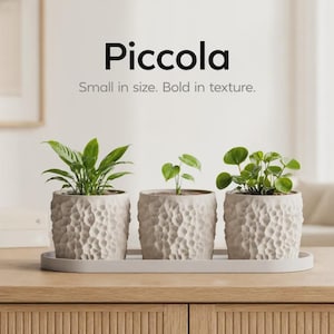 May include: Three small, textured, light gray ceramic planters with green plants, set on a matching tray. The word "Piccola" is above the text "Small in size. Bold in texture."