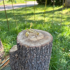 Può includere: Un braccialetto color oro con un design a conchiglia e floreale, appoggiato su un ceppo d'albero. Il braccialetto è uno stile a polsino, con una conchiglia a un'estremità e un design floreale all'altra. Il ceppo d'albero è marrone e strutturato.