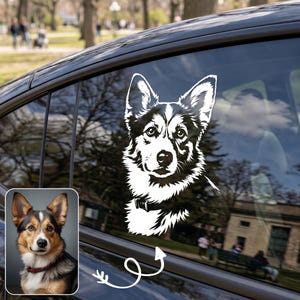 Calcomanía De Border Collie Para Coche – Vinilo Adhesivo, Personalizable Y Hecho En Reino Unido