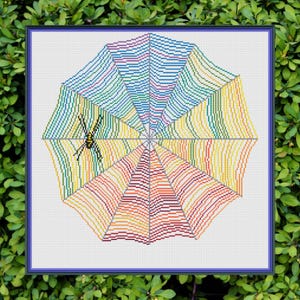 Op de afbeelding: Een ingelijst kruissteekkunstwerk met een kleurrijk spinnenwebontwerp. Het web is weergegeven in een spectrum van regenboogkleuren, met een kleine spin in het midden. Het kunstwerk is geplaatst tegen een witte achtergrond en omlijst door een blauwe rand.