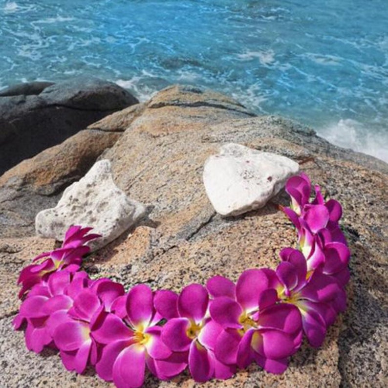 7 Fresh \u201cLURLINE\u201d Plumeria Seeds New-Vibrant-Rare USA Grower /& Seller-Ships Free SEVEN