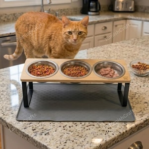 buy purina pro plan cat food Purina Pro Plan Prime Plus Adult 7+ Senior Chicken & Rice Formula Cat
