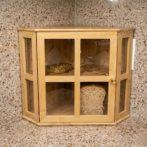 May include: A corner bread box made of light-toned bamboo wood featuring a hinged door with a small round metal knob. The cabinet has clear glass panels on the front and sides, revealing a loaf of bread and a pastry inside on parchment paper.
