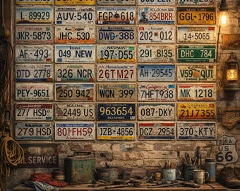 Juego de 50 placas de matrícula estatales vintage, letreros decorativos de metal retro para pared.