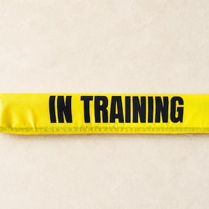 Pode incluir: Uma capa retangular amarelo-brilhante com o texto IN TRAINING impresso em letras maiúsculas pretas e em negrito no centro. A capa tem uma textura sintética lisa com bordas costuradas e um pequeno zíper visível no lado direito.