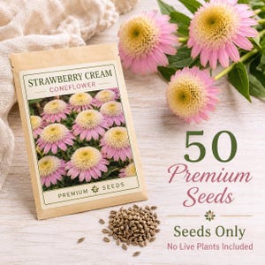 Approximately 50 premium Strawberry Cream Coneflower seeds packaged for planting with seed packet and loose seeds displayed. Seeds only with no live plants included.