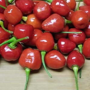 May include: A close-up shot of a pile of ripe, red cherry peppers. The peppers have a round shape with a glossy surface and green stems. The peppers are scattered on a light brown wooden surface.