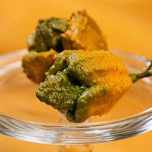 May include: Close-up of several green and yellow peppers on a clear glass plate. The peppers have a bumpy texture and are in various stages of ripeness. The background is a solid orange color.