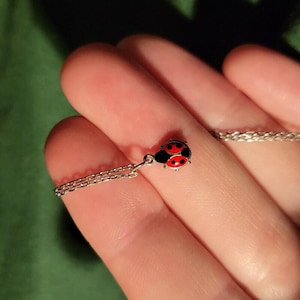 Puede incluir: Un delicado collar de cadena plateada con un pequeño colgante detallado de mariquita. La mariquita está hecha de esmalte rojo vibrante con puntos negros distintivos y una cabeza negra, suspendida de una fina cadena de eslabones de metal plateado.