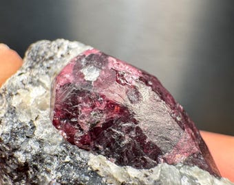 20．母岩中の紫色のロードライトガーネット結晶 - フィンランドのヘルシンキで発見