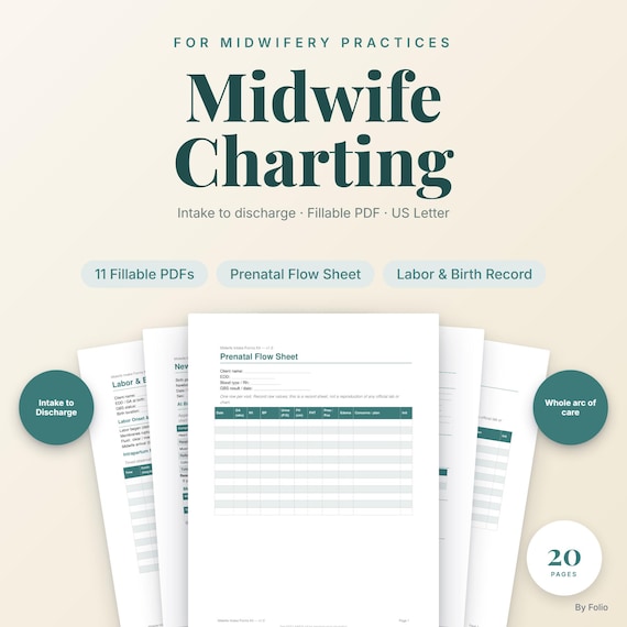 Midwife Intake Forms | Prenatal to Postpartum Charting | Fillable PDF Birth Documentation Kit for Midwives