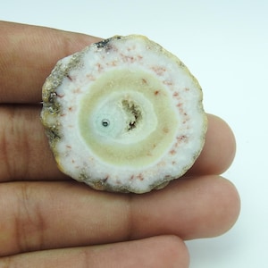 Può includere: Una fetta di agata circolare caratterizzata da bande concentriche di colore verde pallido e bianco, con un centro cristallino testurizzato e piccole macchie bruno-rossastre sparse sull'anello esterno, che mostra formazioni minerali naturali.