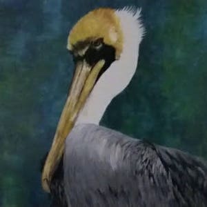 Pelican Print, Coastal Art, Pelican Painting, Pelican Wall Art, Nautical Home Decor, Beach Print, Pelican Acrylic, Bird Gift