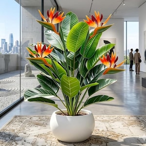 Puede incluir: Una planta de ave del paraíso en una maceta blanca. La planta presenta hojas verdes grandes y flores de color naranja y rojo vibrantes. La planta está en el interior, en una galería de arte, con una vista de la ciudad visible a través de una gran ventana.