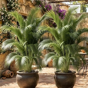 Artificial Palm Tree - Etsy