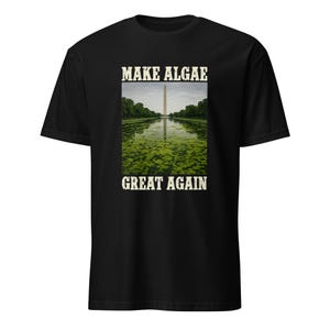 May include: A black short-sleeved t-shirt featuring a rectangular graphic print on the chest. The graphic shows the Washington Monument reflected in a pond covered in green algae, with the text "MAKE ALGAE" above and "GREAT AGAIN" below in white.