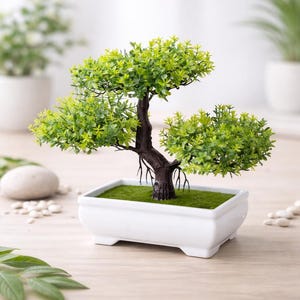 May include: A miniature bonsai tree in a white rectangular ceramic pot. The tree has a dark brown trunk and vibrant green foliage. The pot sits on a light-colored wooden surface, with small white pebbles and other plants in the background.