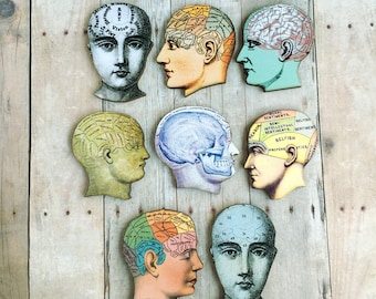 Medical Phrenology Head Brooch Oddity Jewelry Doctors Physicians