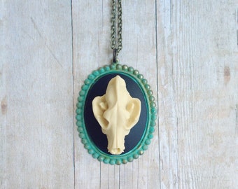 Wolf Necklace Oddity Taxidermy Skull